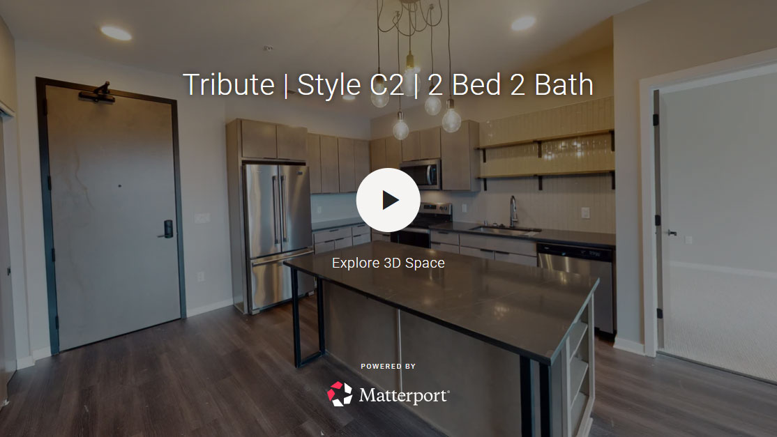 Tribute 304 C2